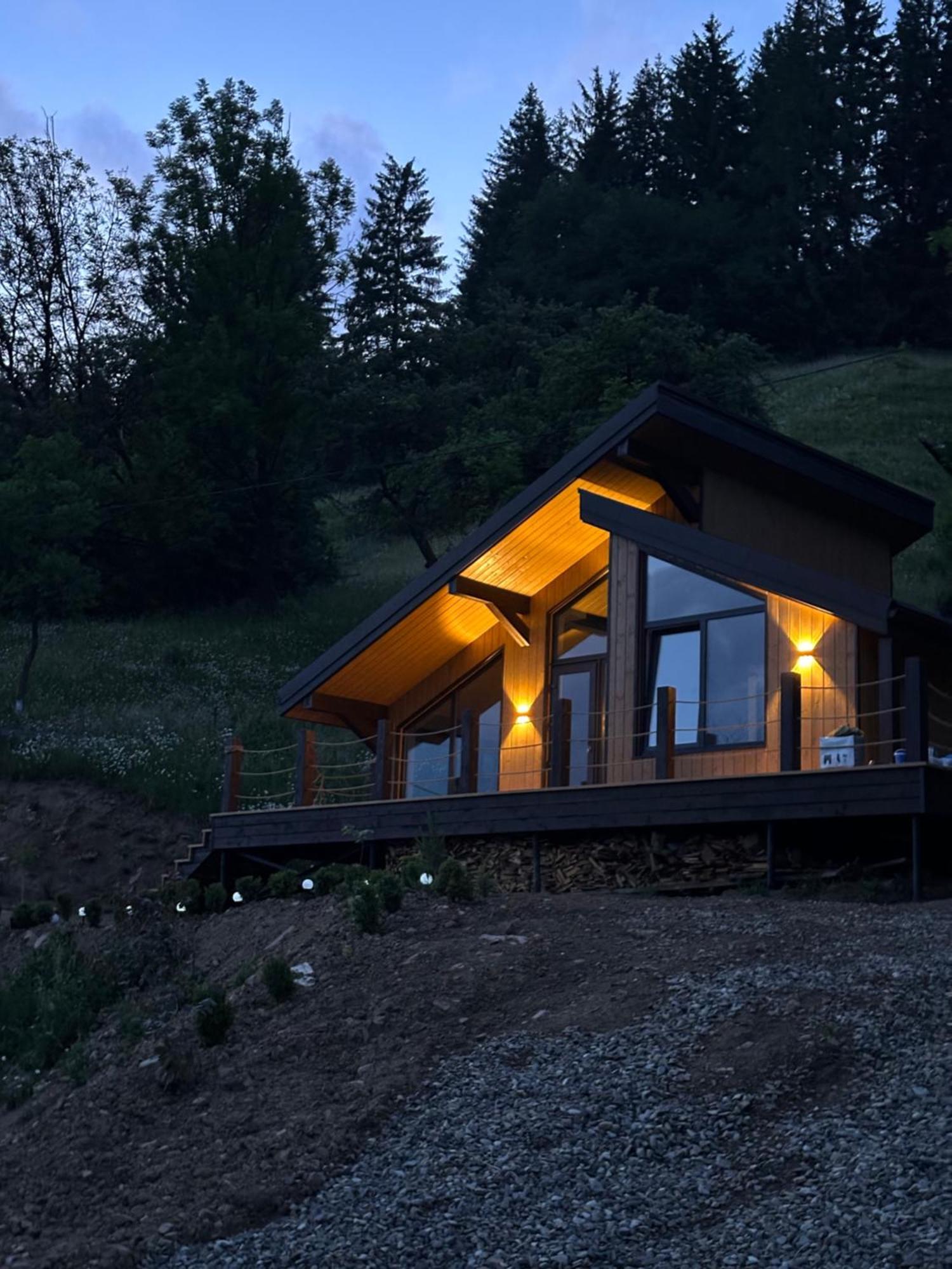 Petrick House Apartman Verhovina Kültér fotó